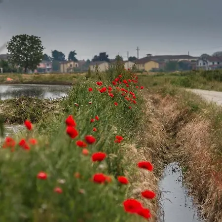 L'antica Fornace Nocleg ze śniadaniem